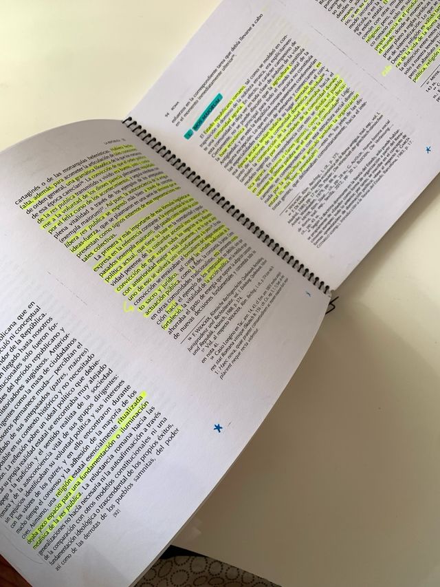 ROMA: Instituciones e ideologías políticas