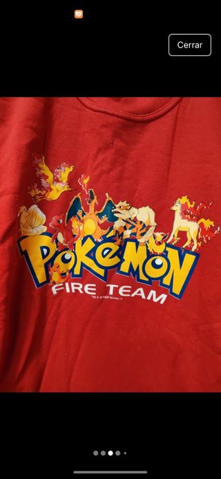 Sudadera Pokémon Fire Team Roja