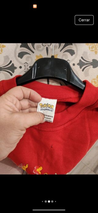 Sudadera Pokémon Fire Team Roja