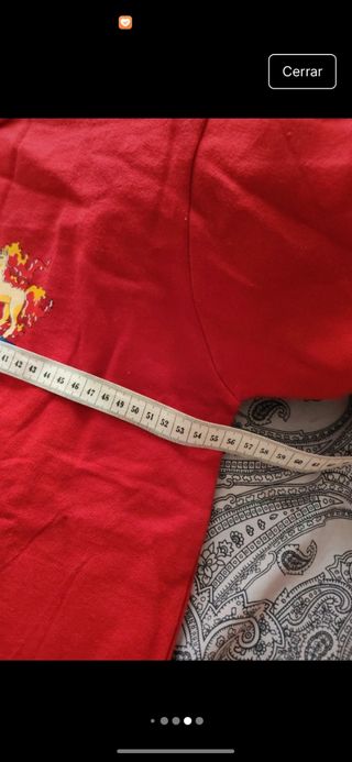 Sudadera Pokémon Fire Team Roja