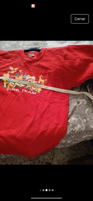 Sudadera Pokémon Fire Team Roja