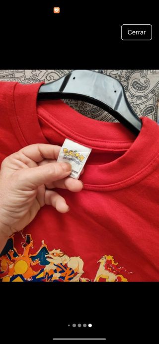 Sudadera Pokémon Fire Team Roja