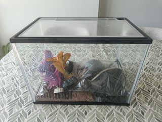 Pecera 15L con filtro y accesorios