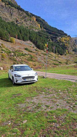 Ford Focus 2019