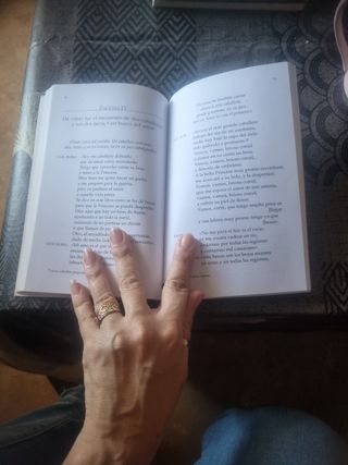 La verdadera y singular historia de la princesa...