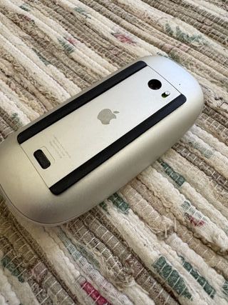 Apple Magic Mouse Plata