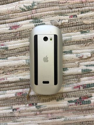 Apple Magic Mouse Plata
