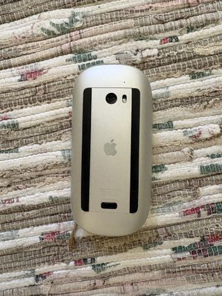 Apple Magic Mouse Plata
