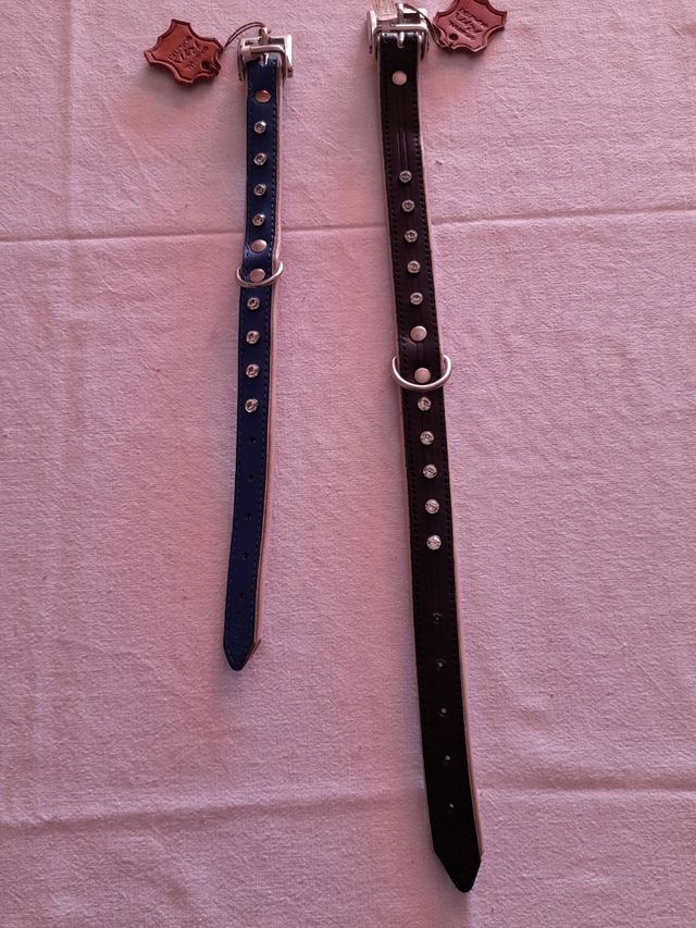 Collares para perro 35 y 28 cm