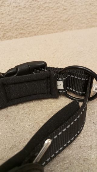 Coleira Preta com Suporte para Rastreador