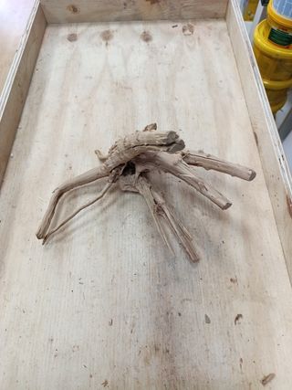 Decoración natural para acuario de madera