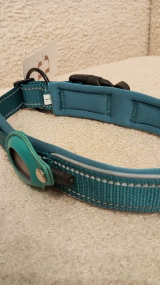 Coleira para cão verde com porta-localizador