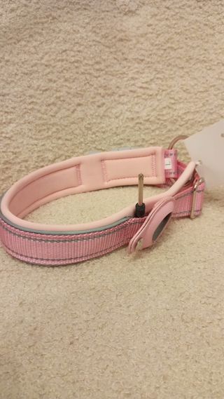 Coleira Rosa para Cão com Porta-Localizador