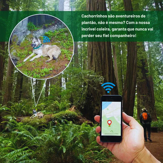 Coleira Rosa para Cão com Porta-Localizador