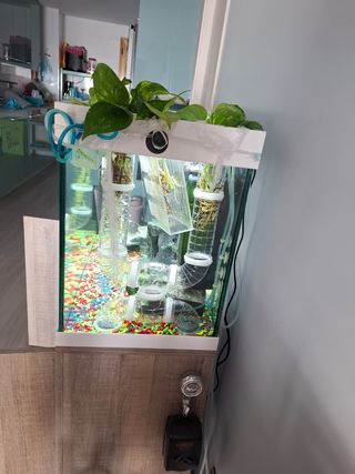 Acuario Eheim 126L con mueble y calentador