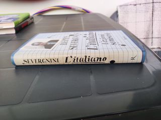 L'Italiano-Lezioni Semiserie (Italian Edition)