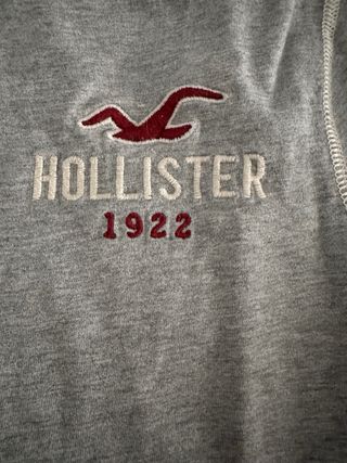Camiseta Hollister manga larga