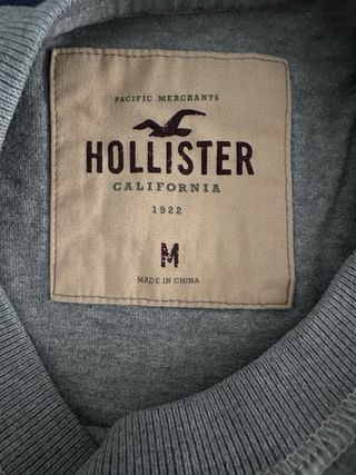 Camiseta Hollister manga larga