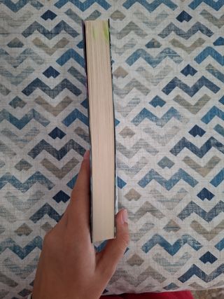 Boulevard. Libro 1 (edición revisada por la aut...