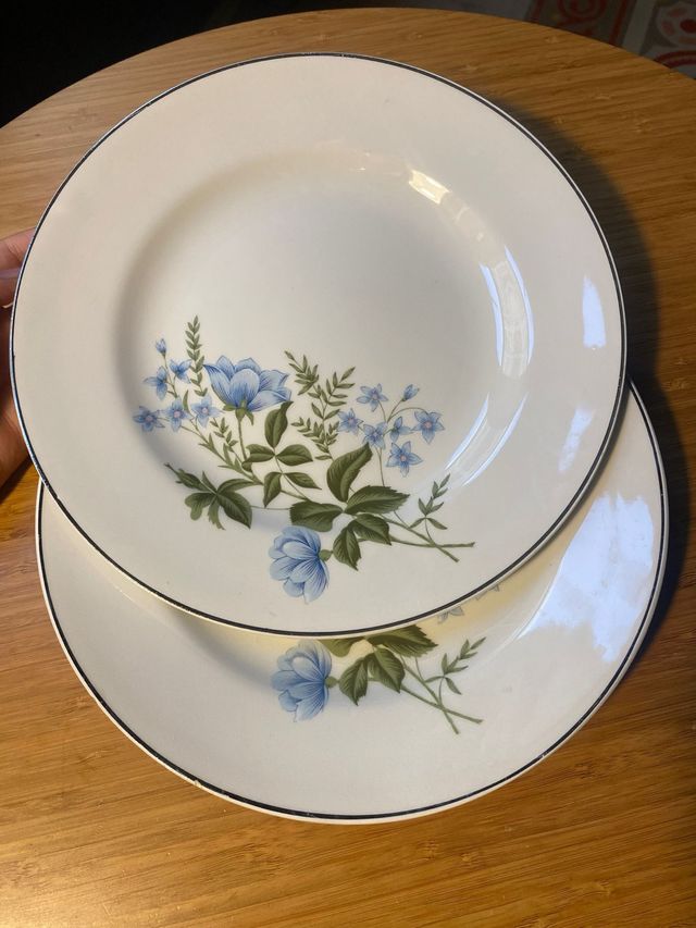 Tanagra Santander Blue Flowers Set di 2 piatti