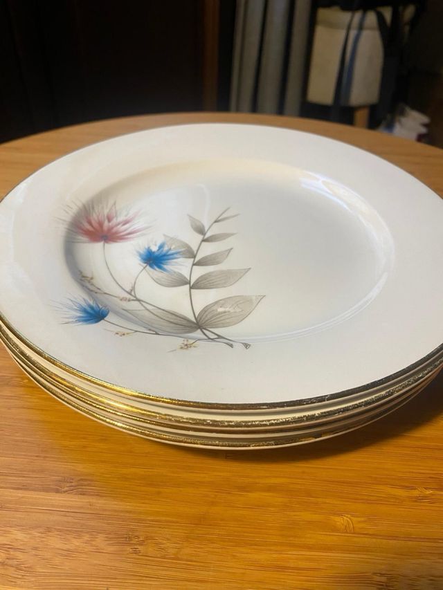 Set di 4 piatti vintage in porcellana Royal China Vigo