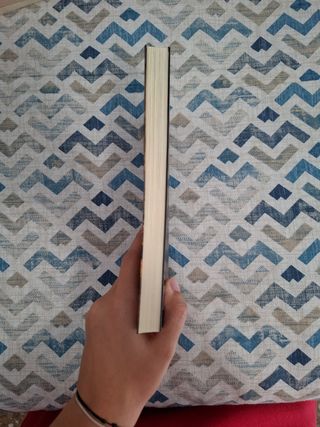 Jo, Pol Rubio: La novel·la de Merlí: Sapere aude