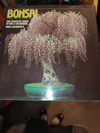 4 libri di Bonsai in Inglese