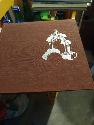 4 libri di Bonsai in Inglese