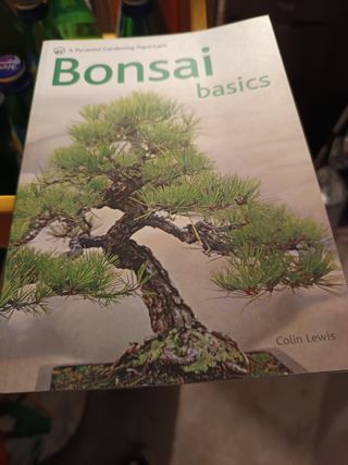4 libri di Bonsai in Inglese