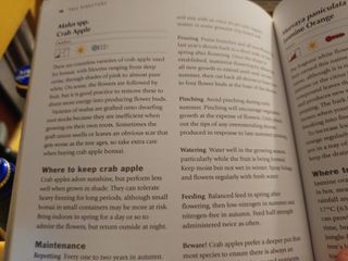 4 libri di Bonsai in Inglese