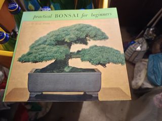4 libri di Bonsai in Inglese