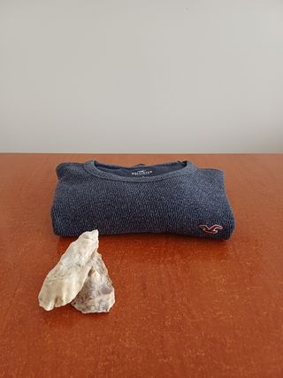 Jersey Hollister