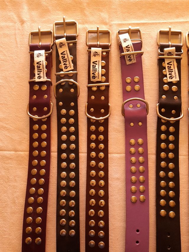 Collares para perro cuero tachuelas 55 y 50