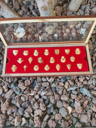 Insignias de equipos de fútbol doradas