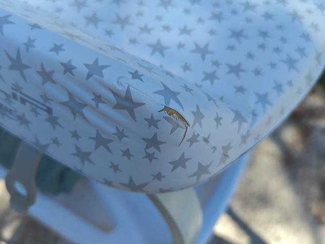 Bañera cambiador Jané Flip