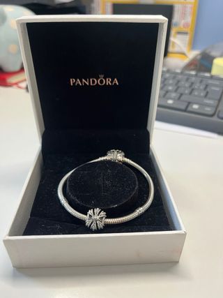 Pulsera Pandora Cadena Serpiente Plata 