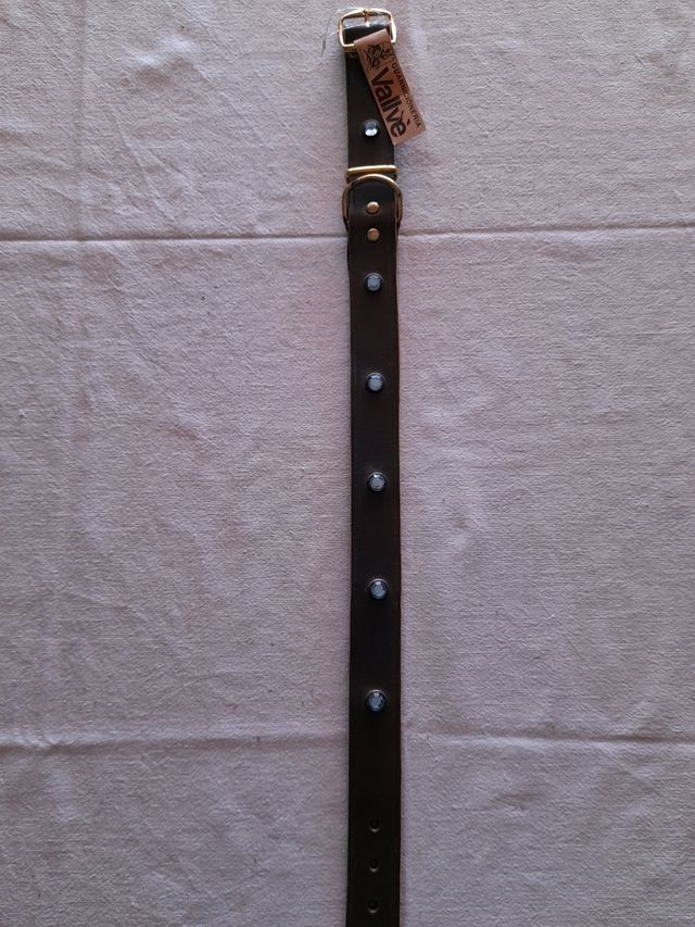 Collar Valivé para perro talla 55