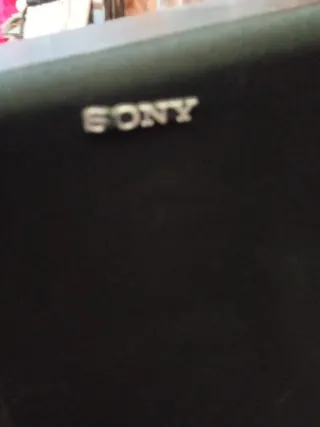 Altavoces Sony Negros