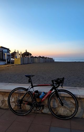 Bicicleta Carretera Wilier Triestina talla 52cm