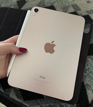 iPad mini 6 rosa