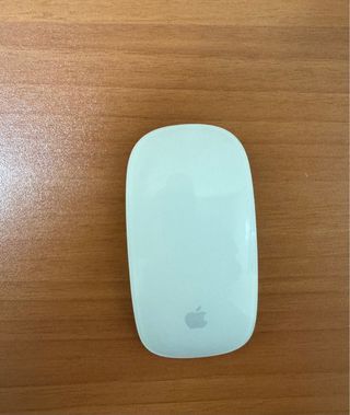 Apple Magic Mouse 1ª Gen