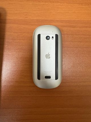 Apple Magic Mouse 1ª Gen