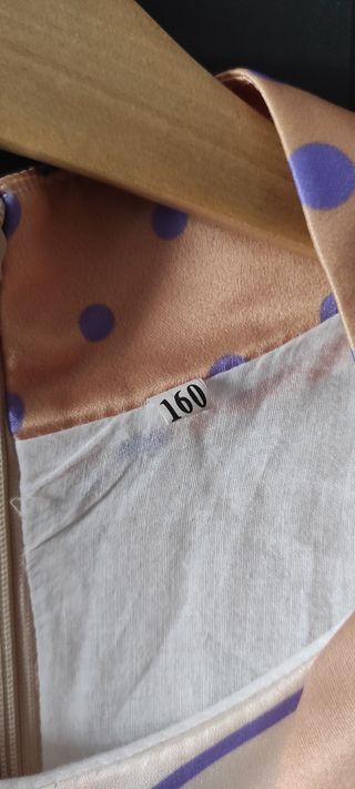 Disfraz de Anna de Frozen 2. Y trenza. 12-14 años