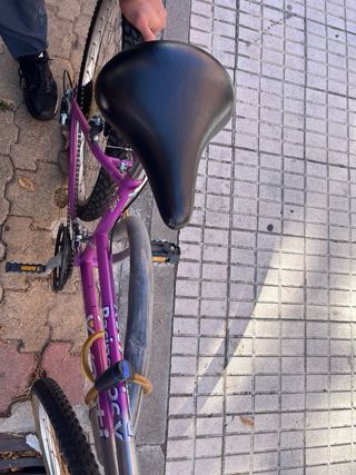 Bicicleta Montaña Rin 26
