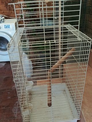 Jaula para loro
