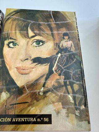 LOTE LIBROS JUVENILES ENID BLYTON