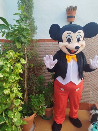 Animación infantil Mickey y Minnie.