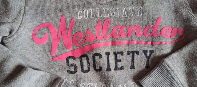 Felpa H&M grigia tg. 5/6 anni