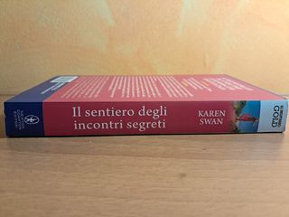 Il sentiero degli incontri segreti di Karen Swan