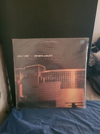 Vinilo DJ AC - Sheldon Fly Away Sky